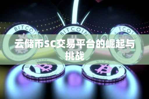 云储币SC交易平台的崛起与挑战