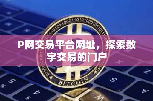 P网交易平台网址，探索数字交易的门户