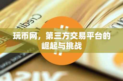 玩币网，第三方交易平台的崛起与挑战