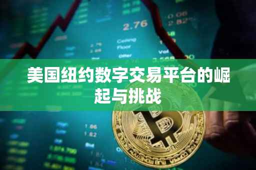 美国纽约数字交易平台的崛起与挑战