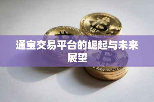 通宝交易平台的崛起与未来展望