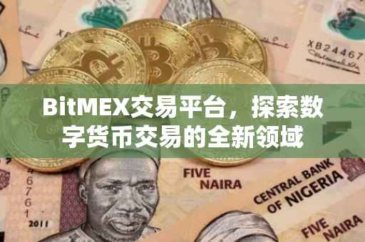 BitMEX交易平台，探索数字货币交易的全新领域