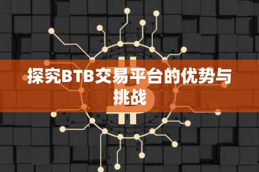 探究BTB交易平台的优势与挑战
