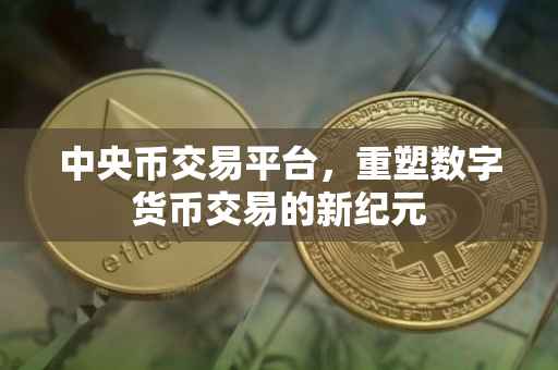 中央币交易平台，重塑数字货币交易的新纪元
