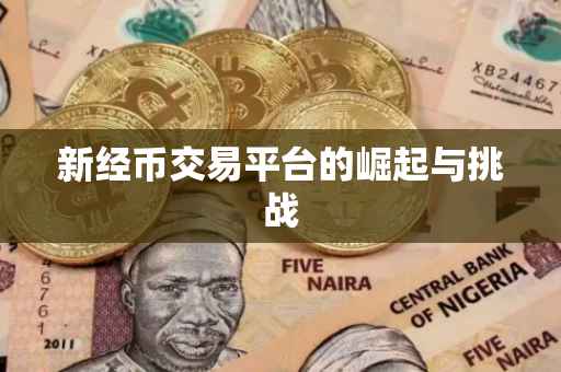 新经币交易平台的崛起与挑战