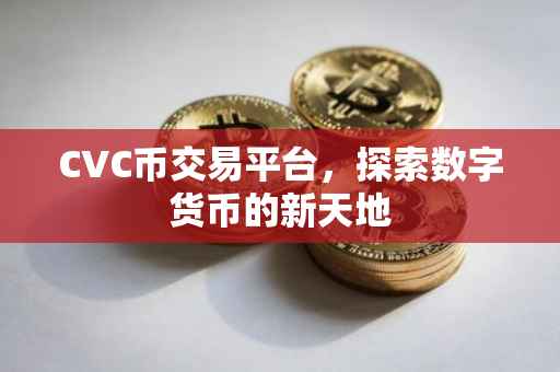 CVC币交易平台，探索数字货币的新天地