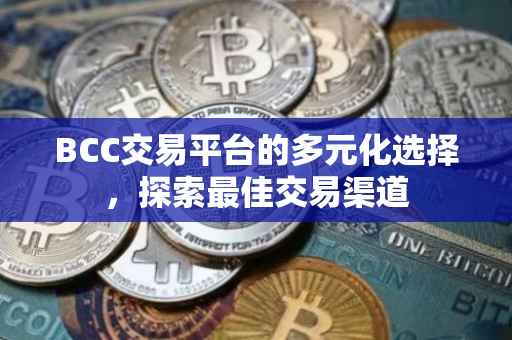 BCC交易平台的多元化选择，探索最佳交易渠道