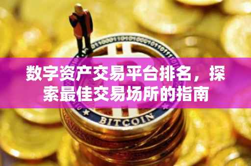 数字资产交易平台排名，探索最佳交易场所的指南
