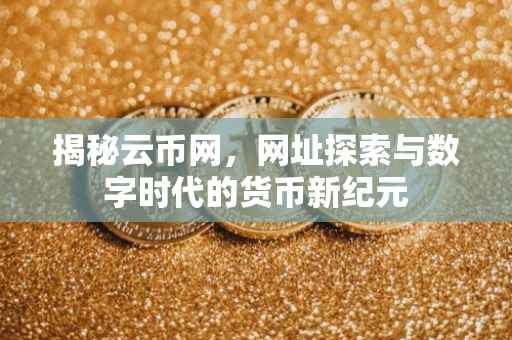 揭秘云币网，网址探索与数字时代的货币新纪元