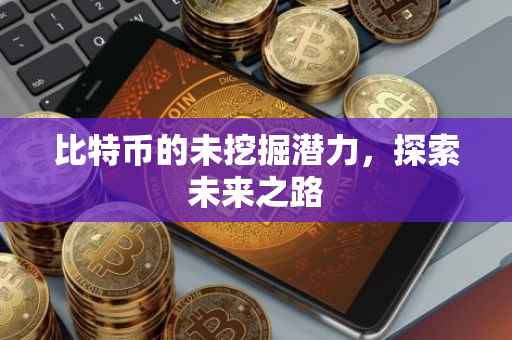 比特币的未挖掘潜力，探索未来之路
