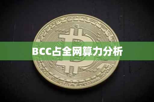 BCC占全网算力分析