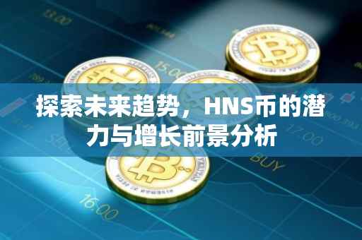 探索未来趋势，HNS币的潜力与增长前景分析