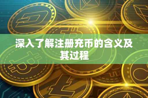 深入了解注册充币的含义及其过程