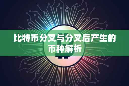 比特币分叉与分叉后产生的币种解析