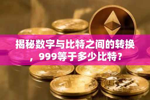 揭秘数字与比特之间的转换，999等于多少比特？