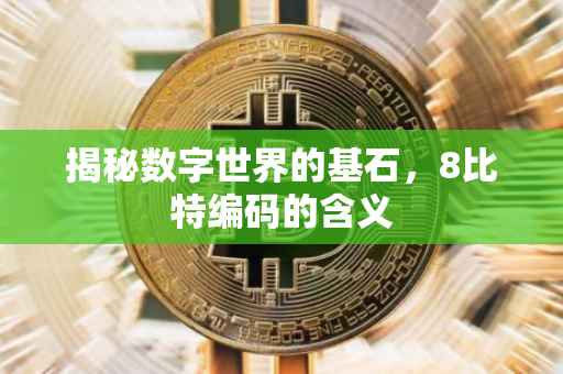 揭秘数字世界的基石，8比特编码的含义