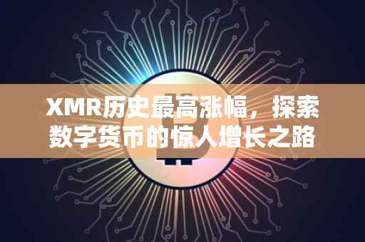 XMR历史最高涨幅，探索数字货币的惊人增长之路