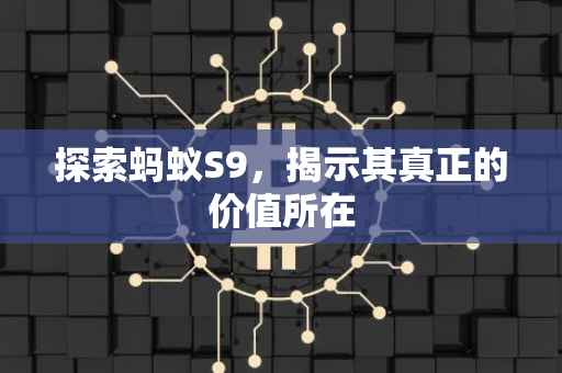 探索蚂蚁S9，揭示其真正的价值所在