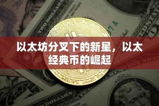 以太坊分叉下的新星，以太经典币的崛起