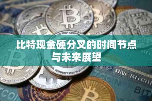 比特现金硬分叉的时间节点与未来展望