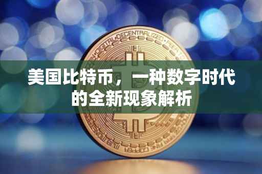 美国比特币，一种数字时代的全新现象解析