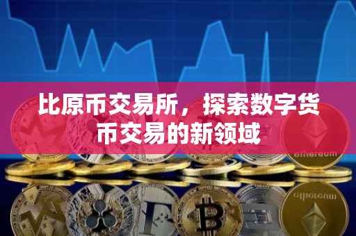 比原币交易所，探索数字货币交易的新领域