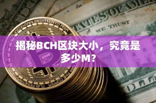 揭秘BCH区块大小，究竟是多少M？