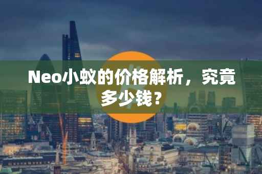 Neo小蚁的价格解析，究竟多少钱？