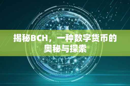 揭秘BCH，一种数字货币的奥秘与探索