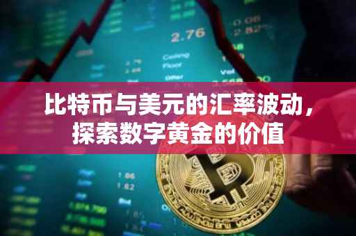 比特币与美元的汇率波动，探索数字黄金的价值