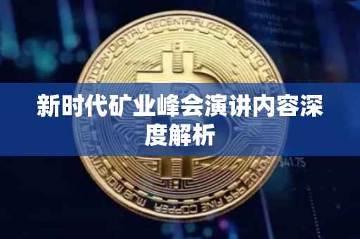 新时代矿业峰会演讲内容深度解析