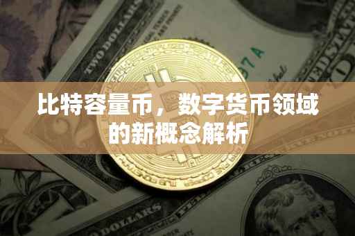 比特容量币，数字货币领域的新概念解析
