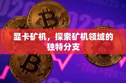 显卡矿机，探索矿机领域的独特分支