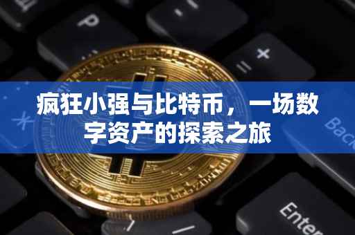 疯狂小强与比特币，一场数字资产的探索之旅