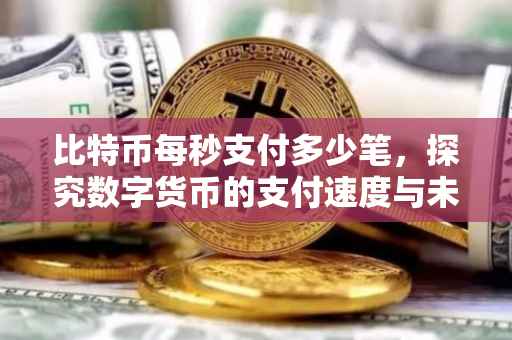 比特币每秒支付多少笔，探究数字货币的支付速度与未来趋势