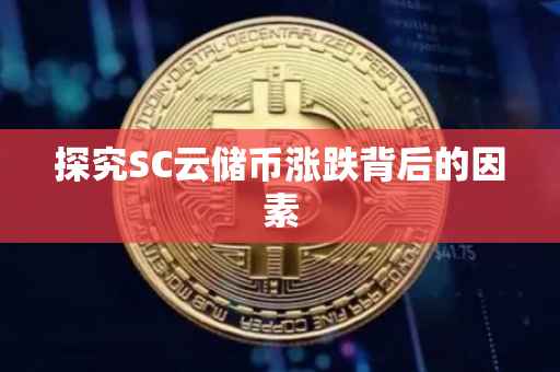 探究SC云储币涨跌背后的因素