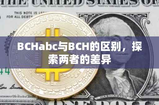 BCHabc与BCH的区别，探索两者的差异