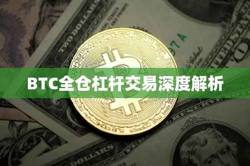 BTC全仓杠杆交易深度解析