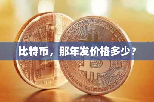 比特币，那年发价格多少？