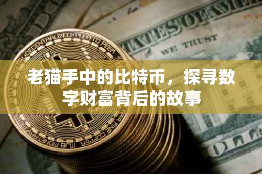 老猫手中的比特币，探寻数字财富背后的故事
