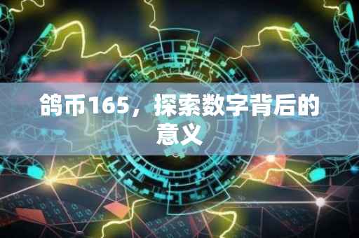 鸽币165，探索数字背后的意义
