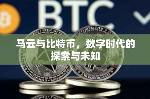 马云与比特币，数字时代的探索与未知