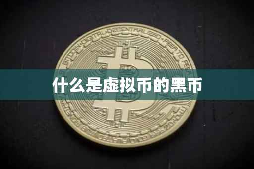 什么是虚拟币的黑币