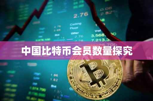 中国比特币会员数量探究