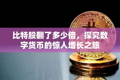 比特股翻了多少倍，探究数字货币的惊人增长之旅