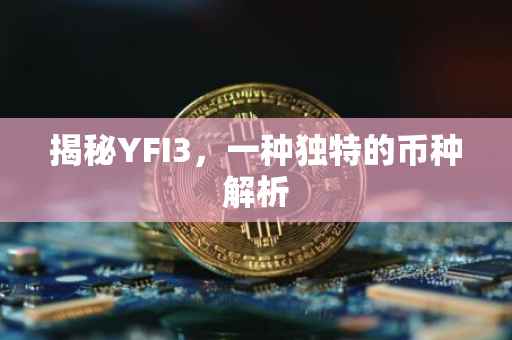 揭秘YFI3，一种独特的币种解析