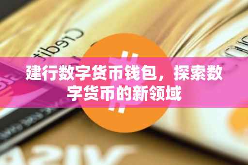 建行数字货币钱包，探索数字货币的新领域