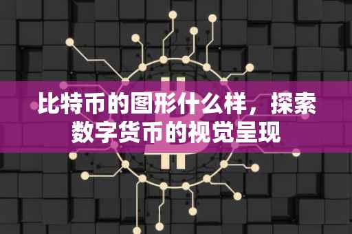 比特币的图形什么样，探索数字货币的视觉呈现