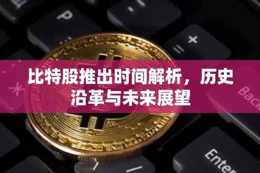 比特股推出时间解析，历史沿革与未来展望