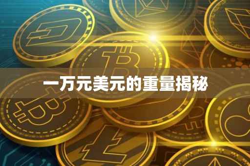 一万元美元的重量揭秘